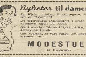 Bilde av Modestuen